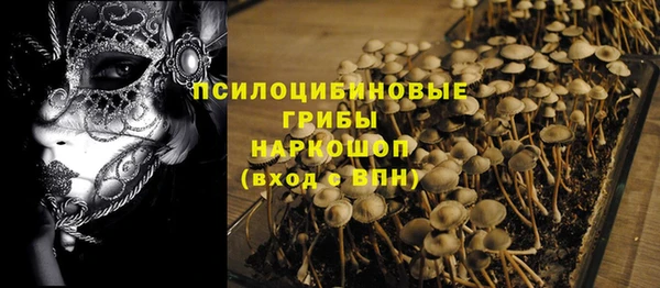 каннабис Аркадак