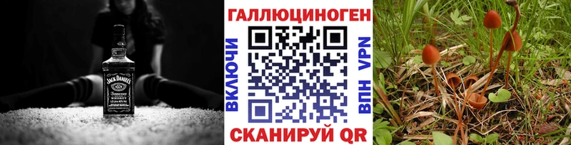 Галлюциногенные грибы прущие грибы  Кингисепп 